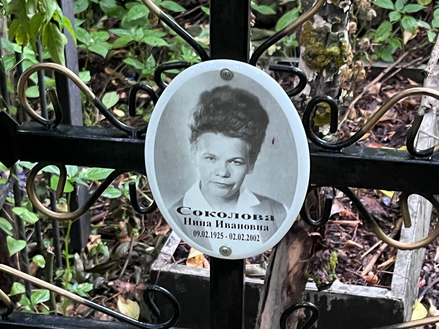 Соколова