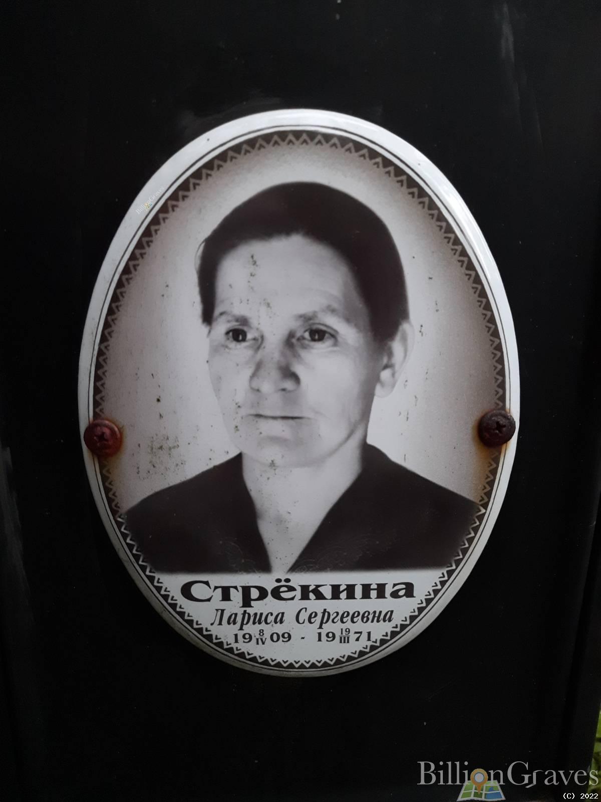 Стрёкина Лариса Сергеевна