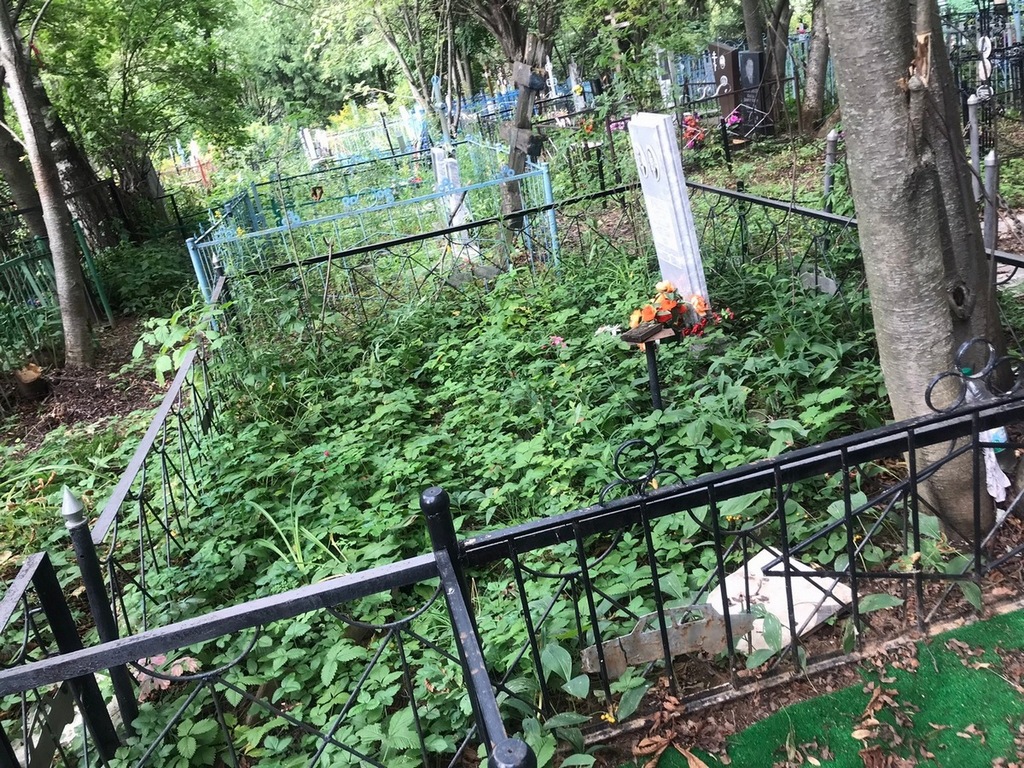 Личнов Николай Васильевич