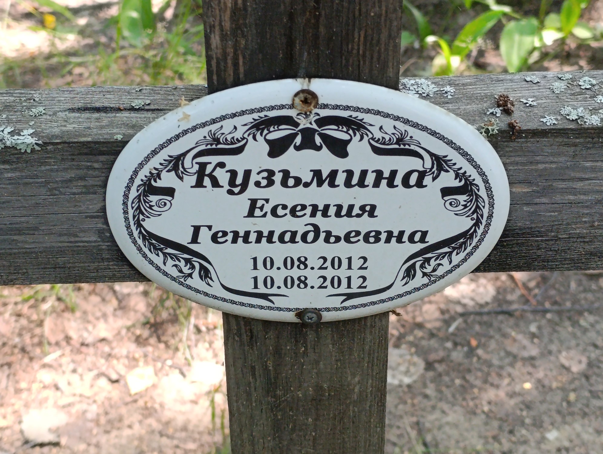 Кузьмина Есения Геннадьевна
