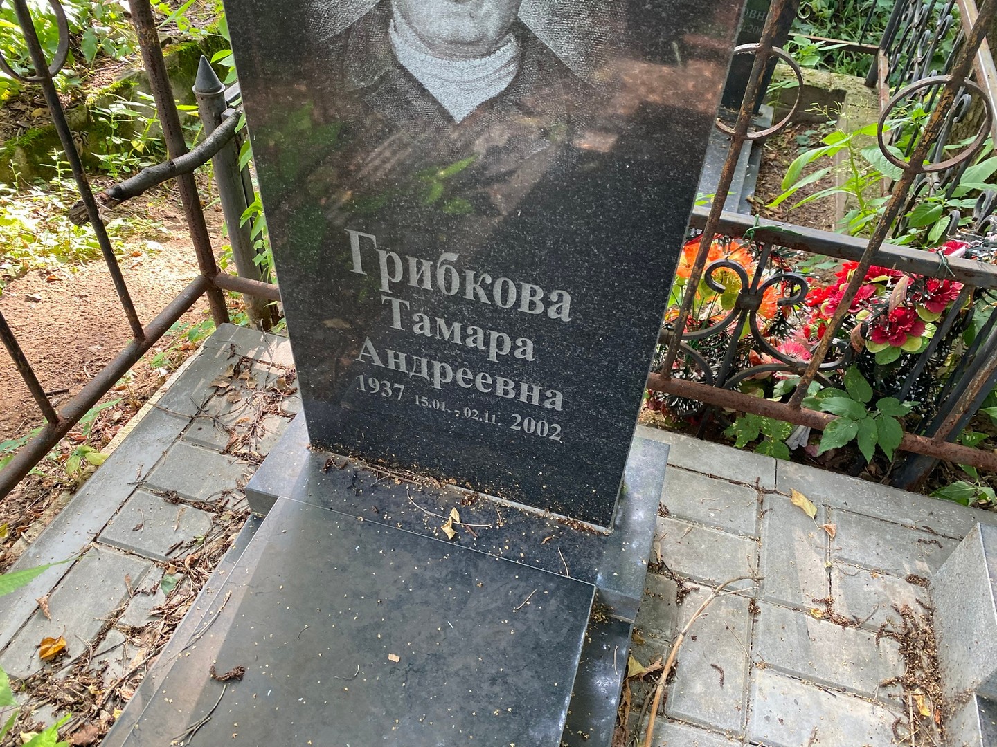 Грибкова