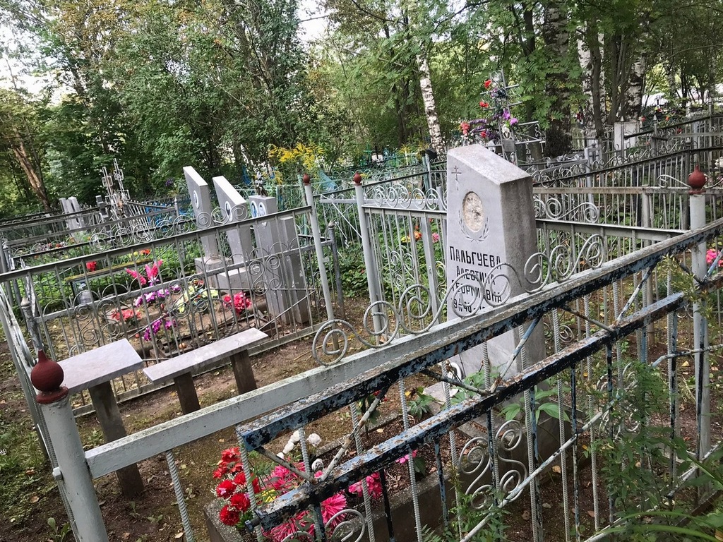Пальгуева Алевтина Георгиевна