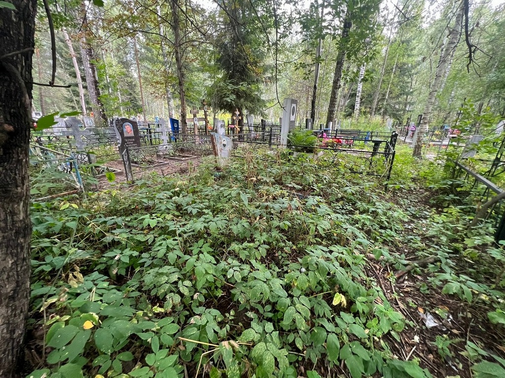 Кисаров Александр Петрович