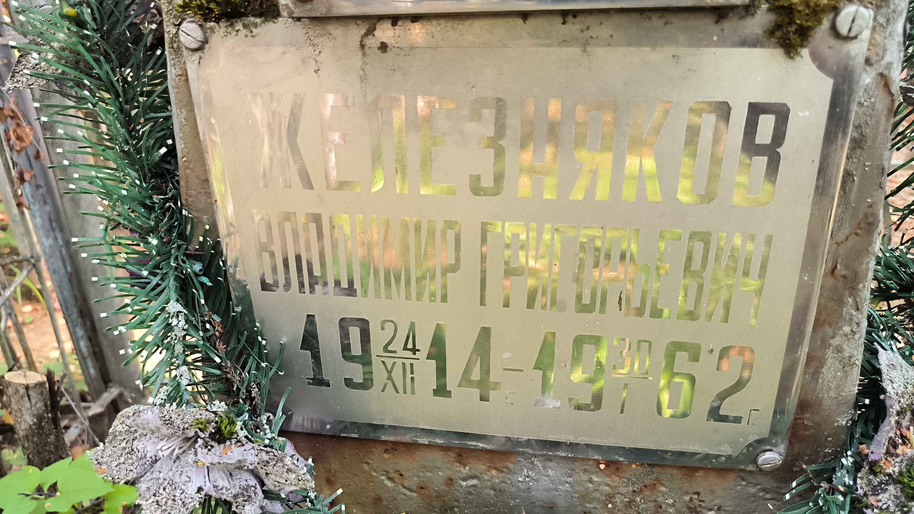 Железняков Владимир Григорьевич
