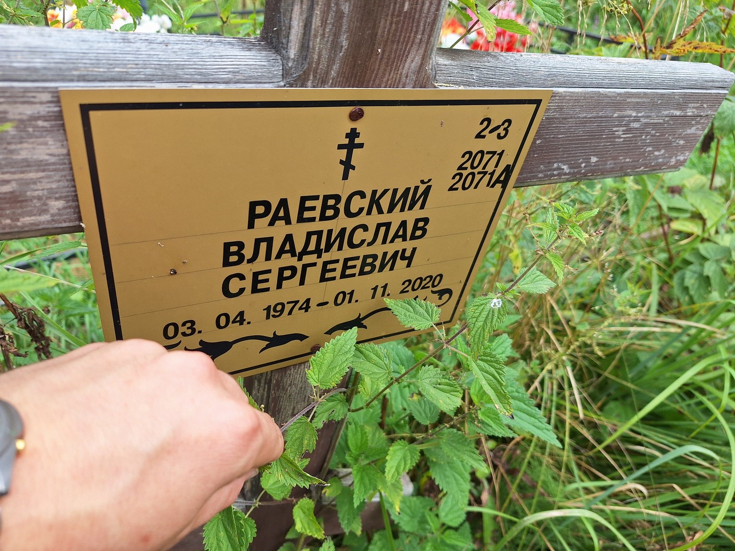 Раевский Владислав Сергеевич