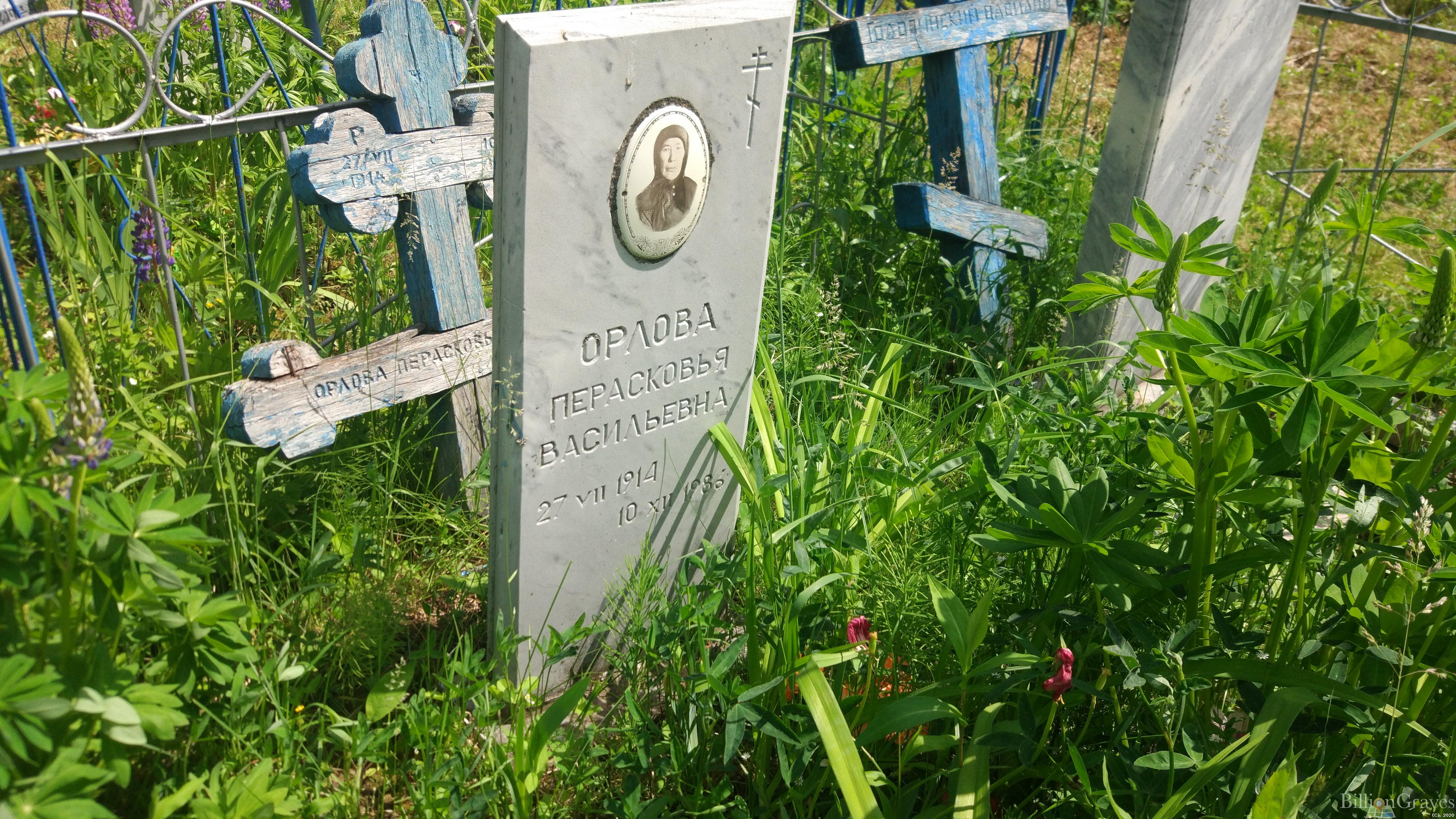 Орлова Перасковья Васильевна
