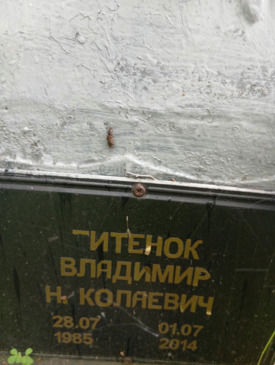 Титенок Владимир Николаевич