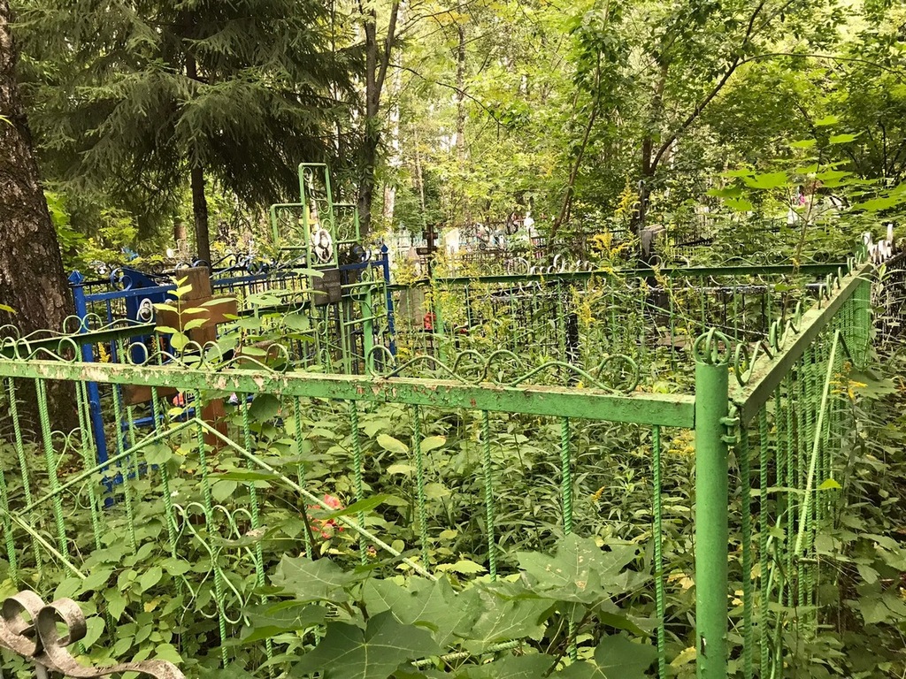 Соловьева Ольга Алексеевна