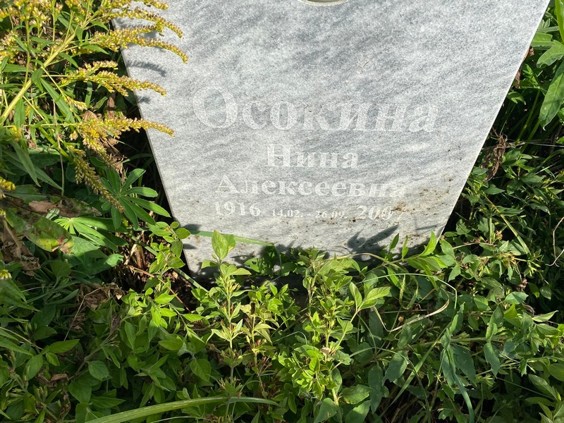 Осокина
