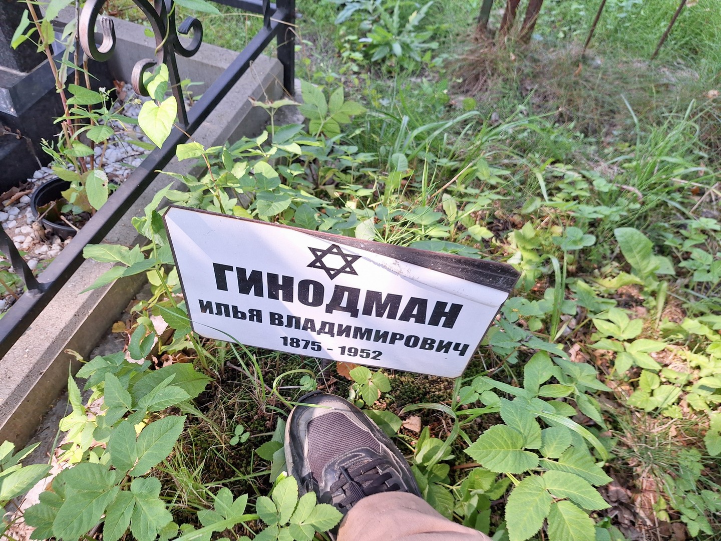 Гинодман