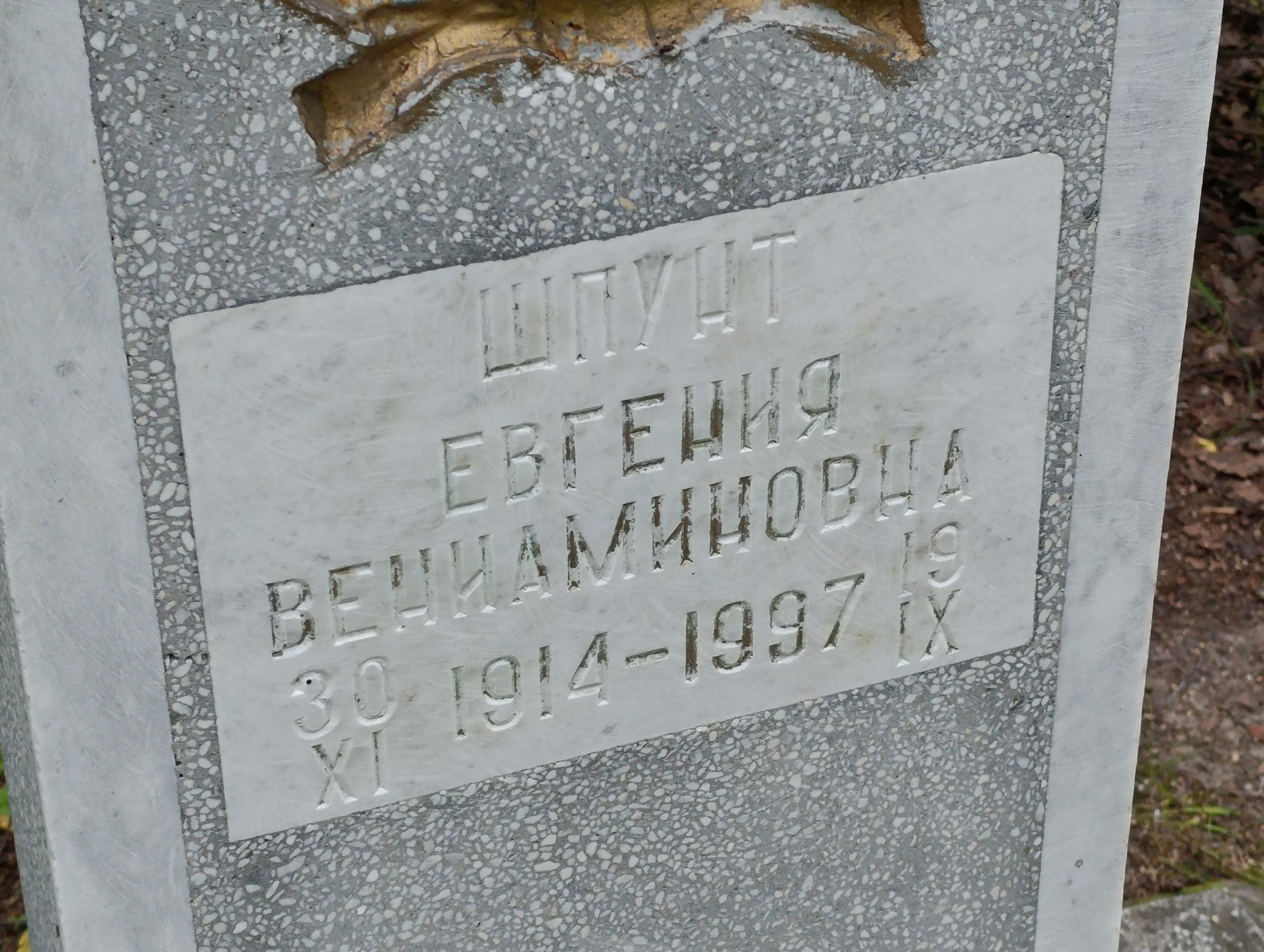 Шпунт Евгения Вениаминовна