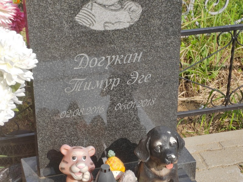 Тимур Догукан Эге