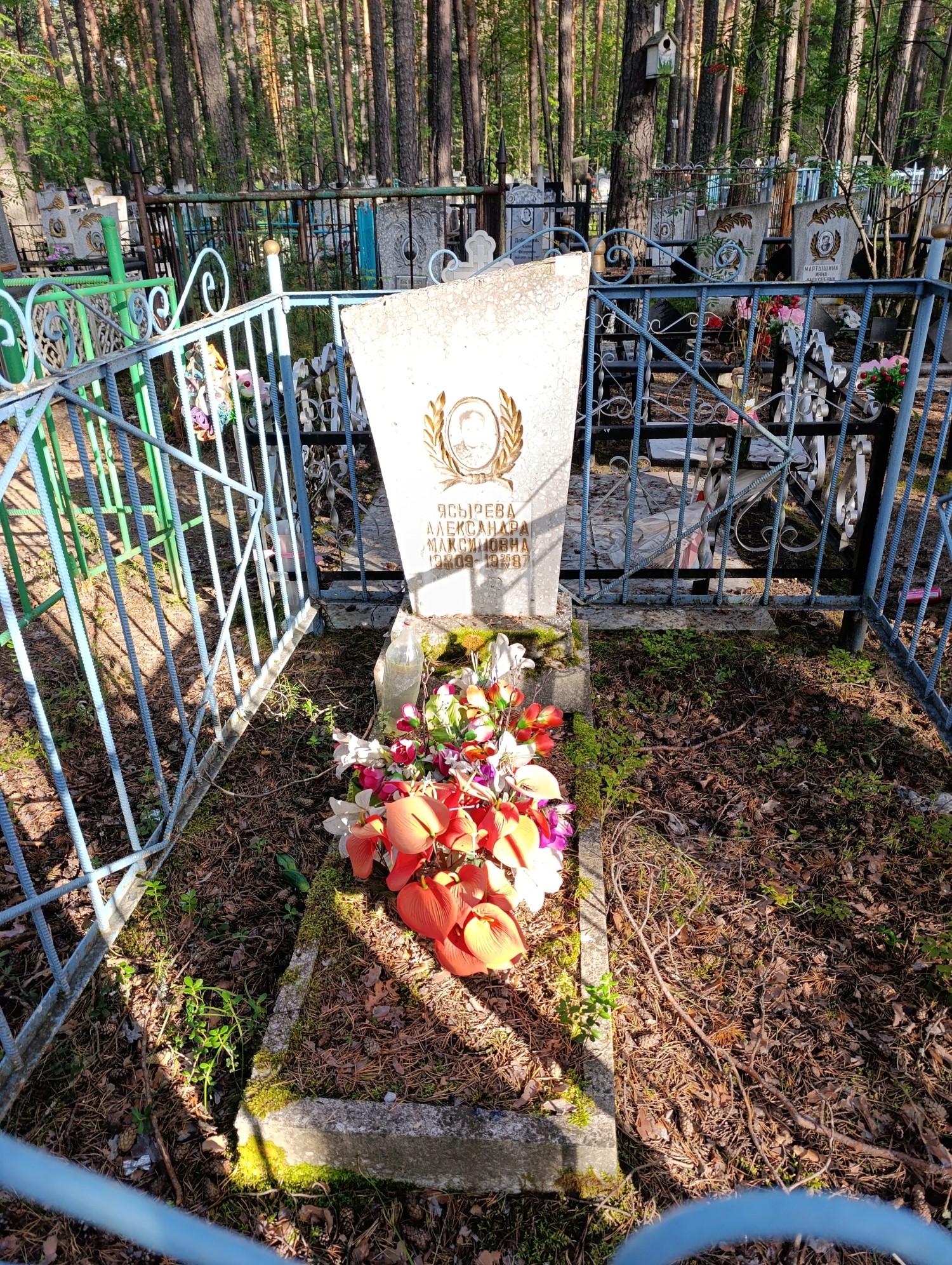 Ясырева Александра Максимовна