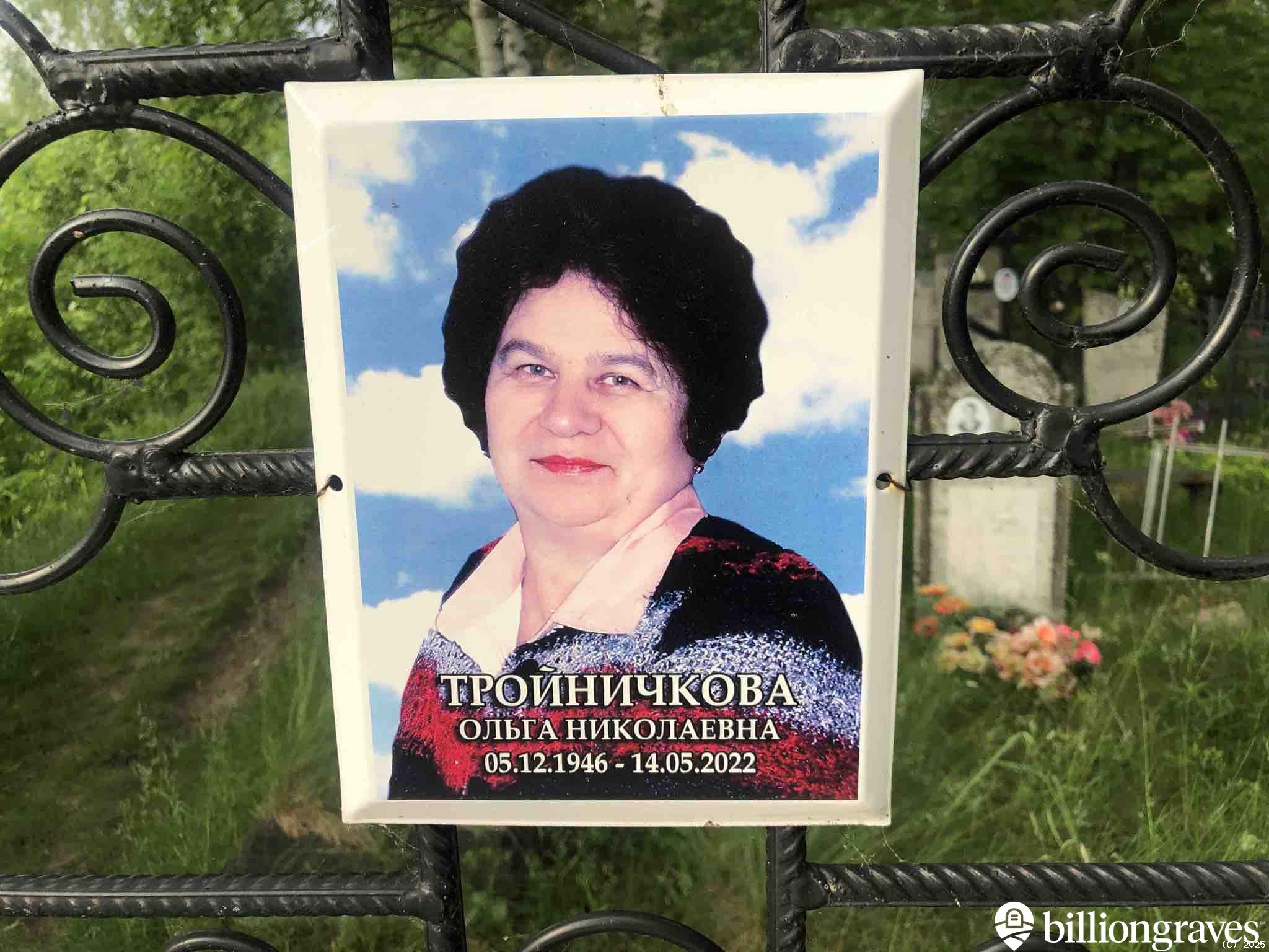 Тройничкова Ольга Николаевна