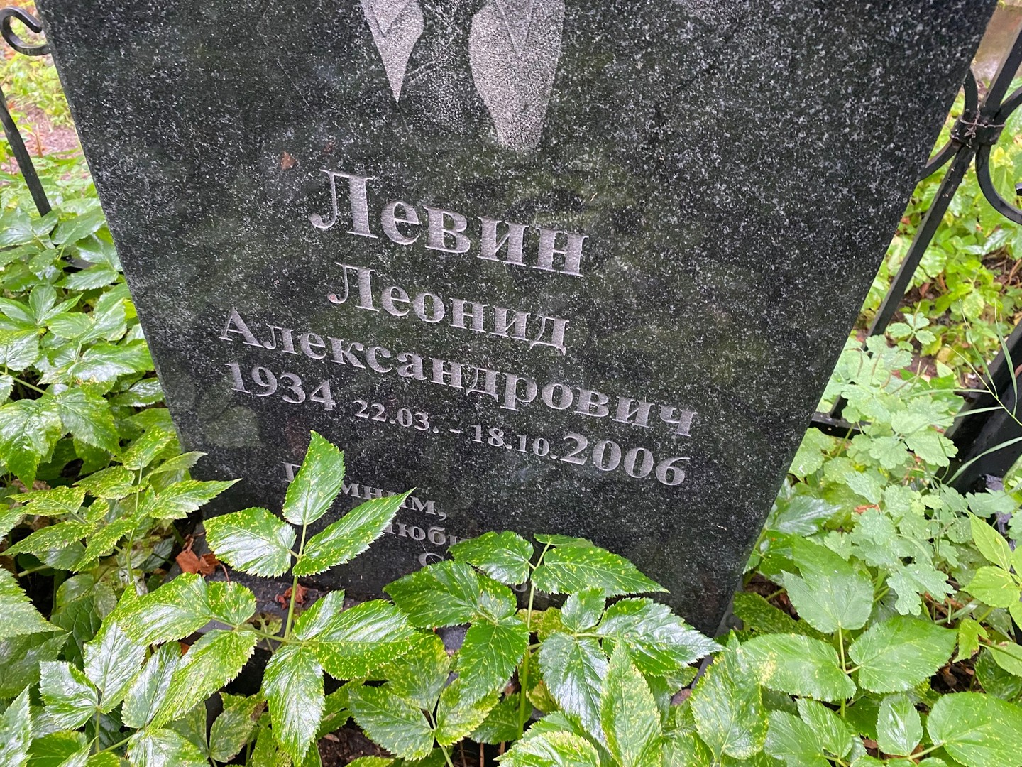 Левин