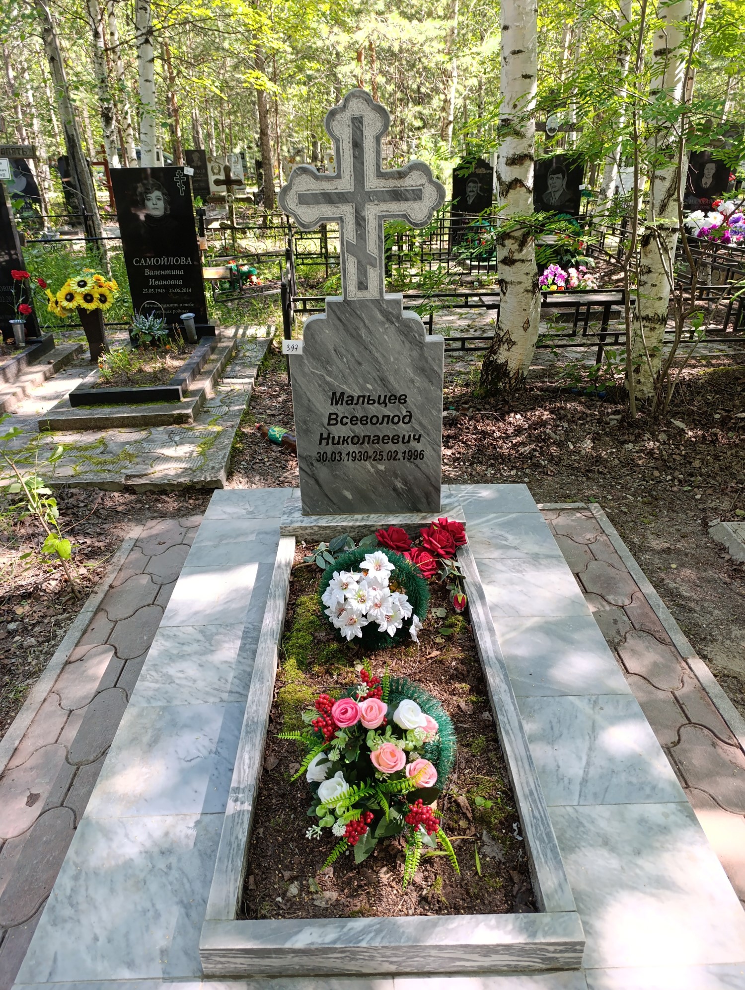 Мальцев Всеволод Николаевич