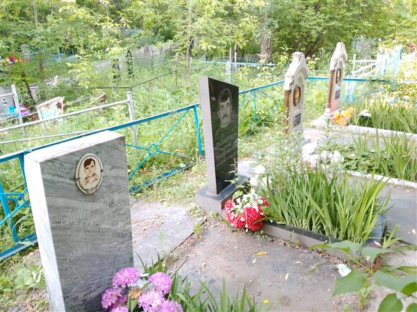 Лапаревич Владимир Николаевич