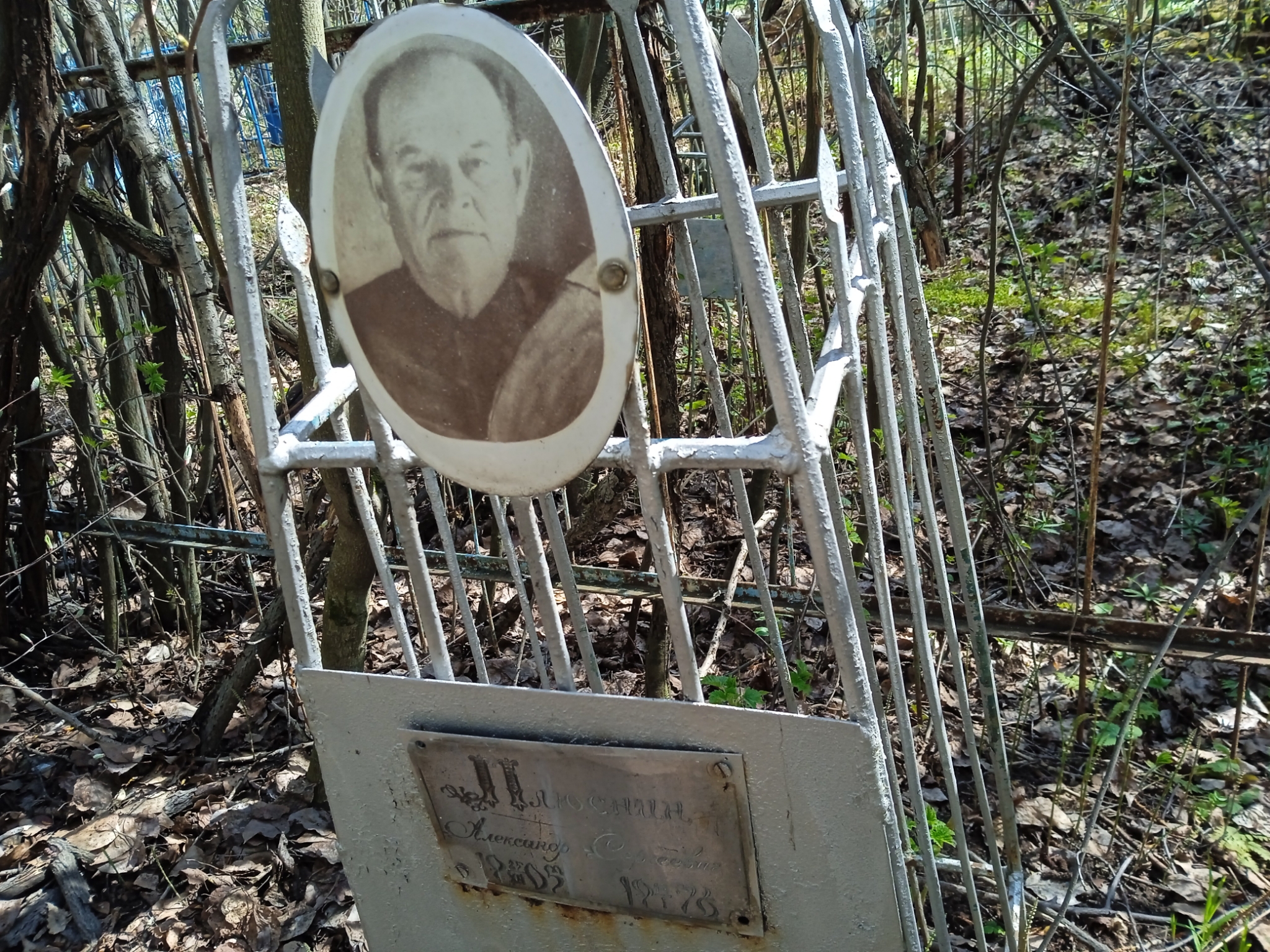 Плюснин Александр Сергеевич