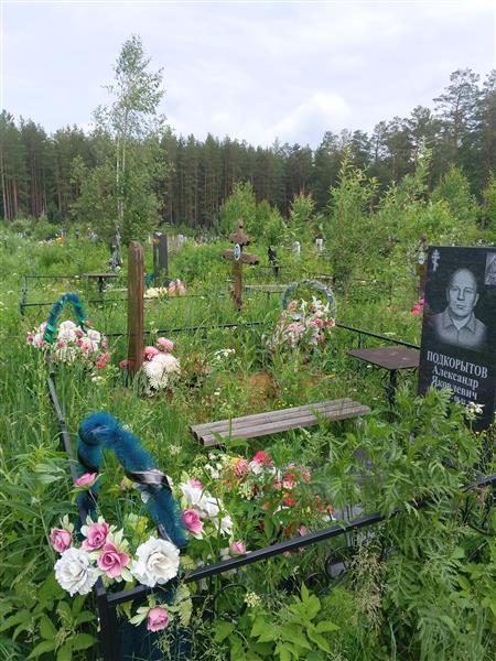 Подкорытов Александр Яковлевич