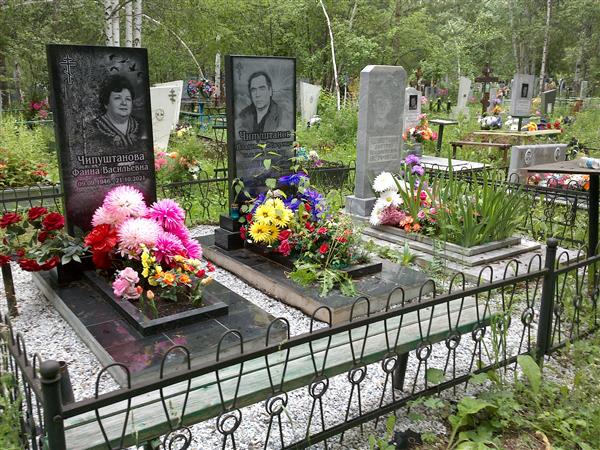 Чипуштанов Дмитрий Владимирович