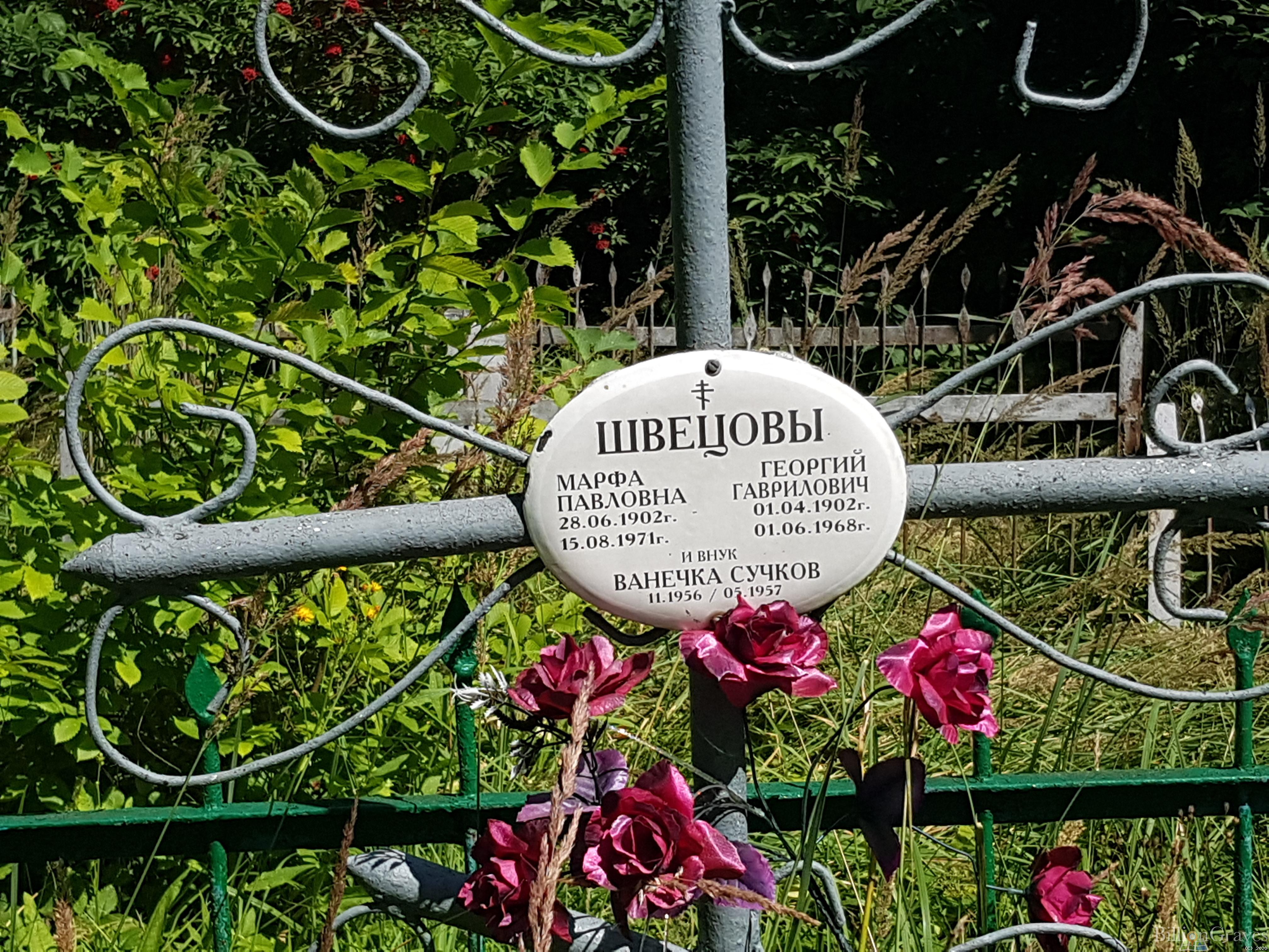 Швецов Георгий Гаврилович