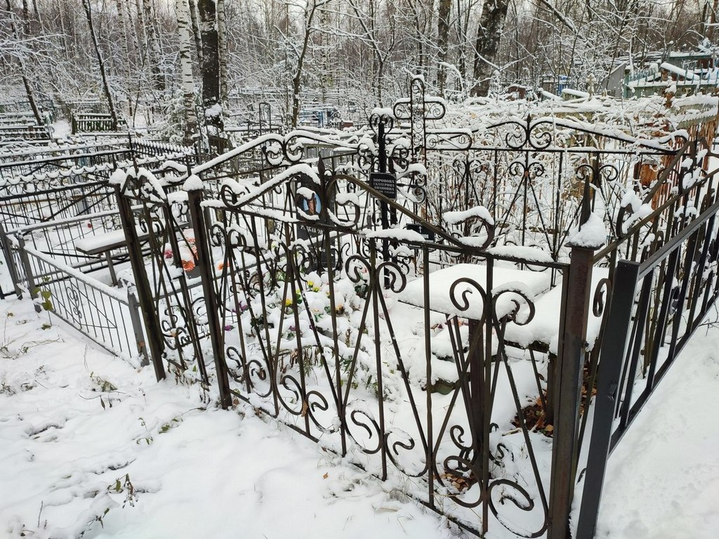 Воронов Алексей Яковлевич