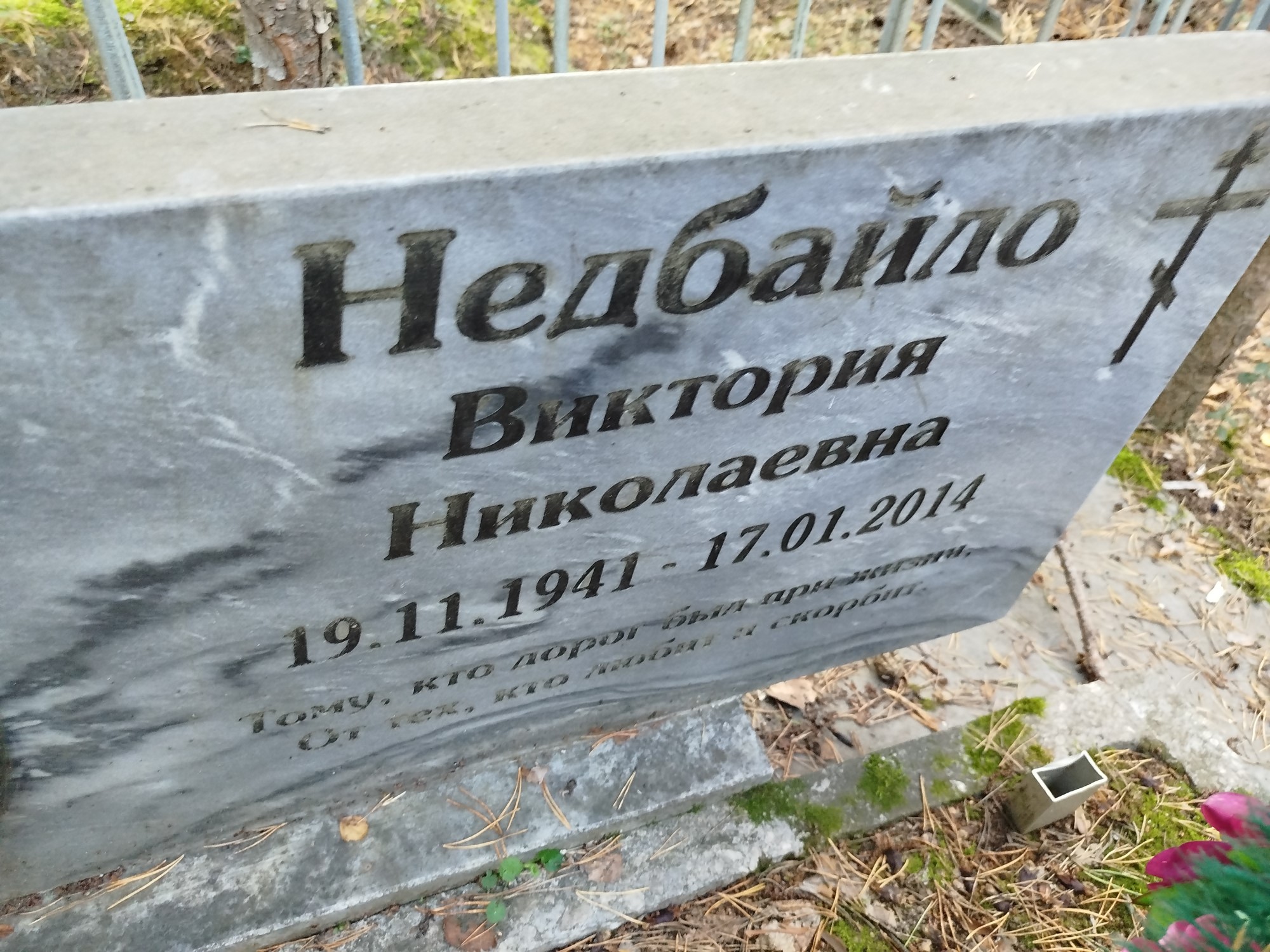Недбайло Виктория Николаевна