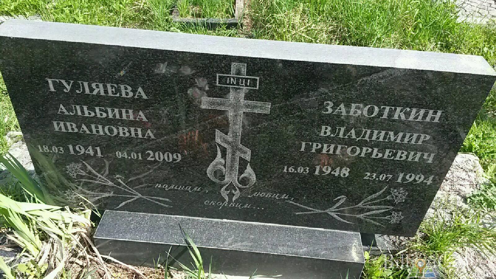 заботкин владимир григорьевич