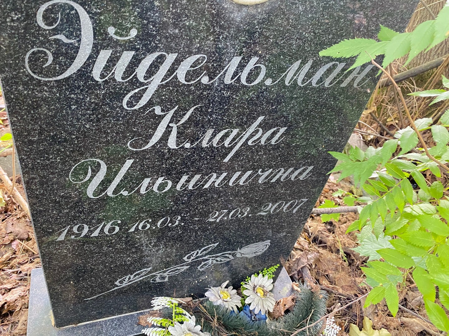 Клара Эйдельман Ильинична