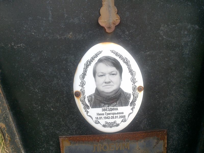 Звездина