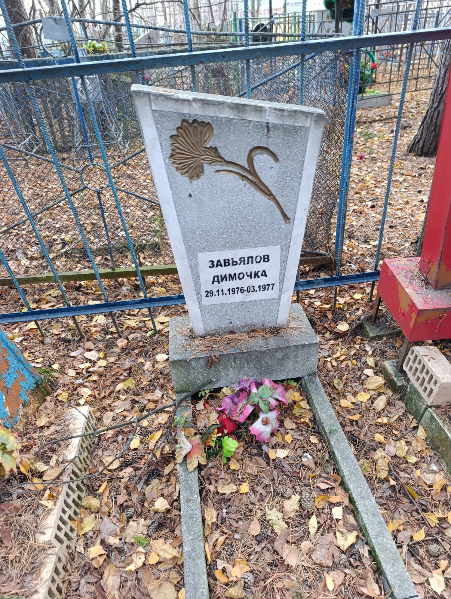 Завьялов Димочка