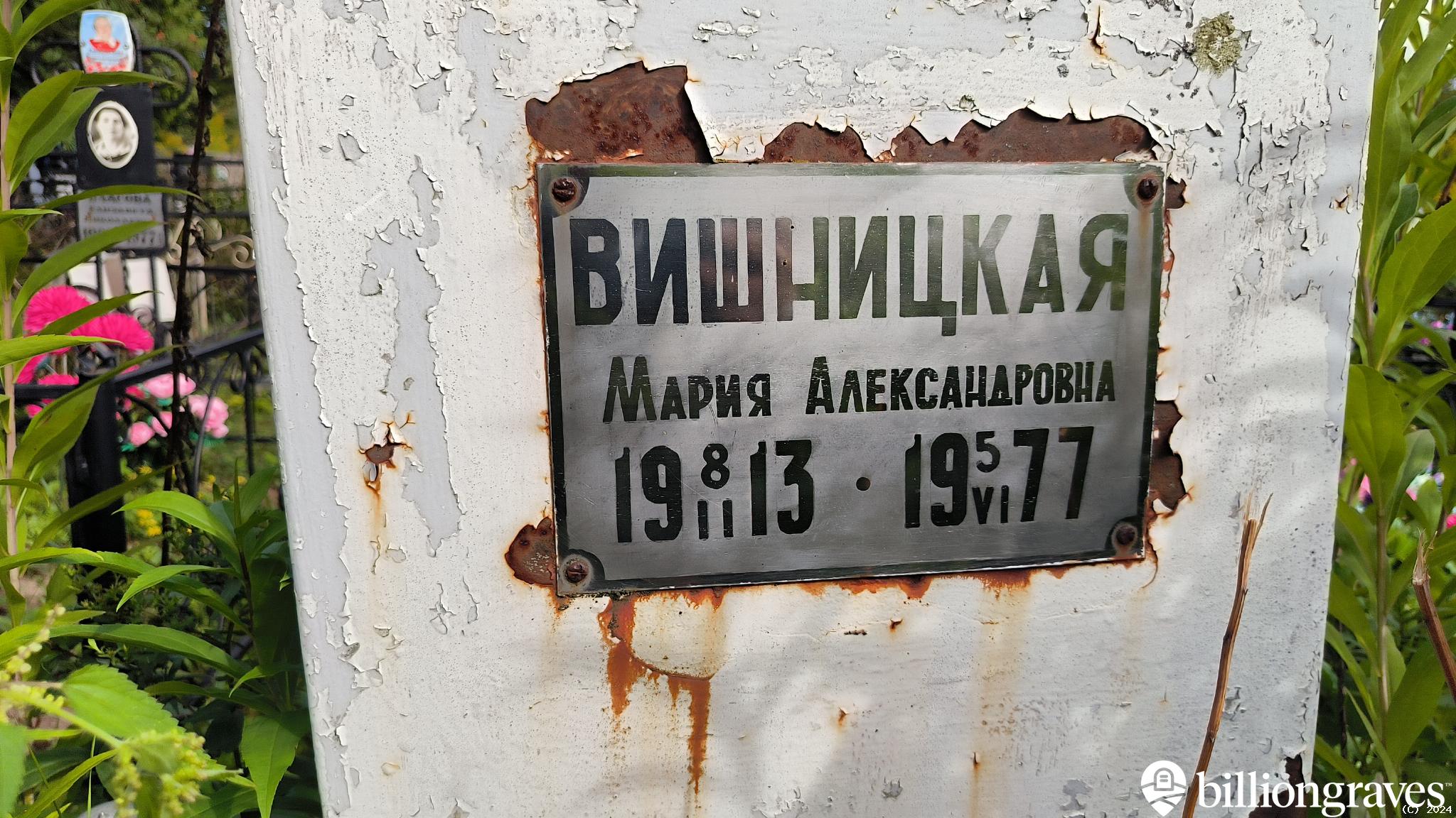 Вишницкая Мария Александровна