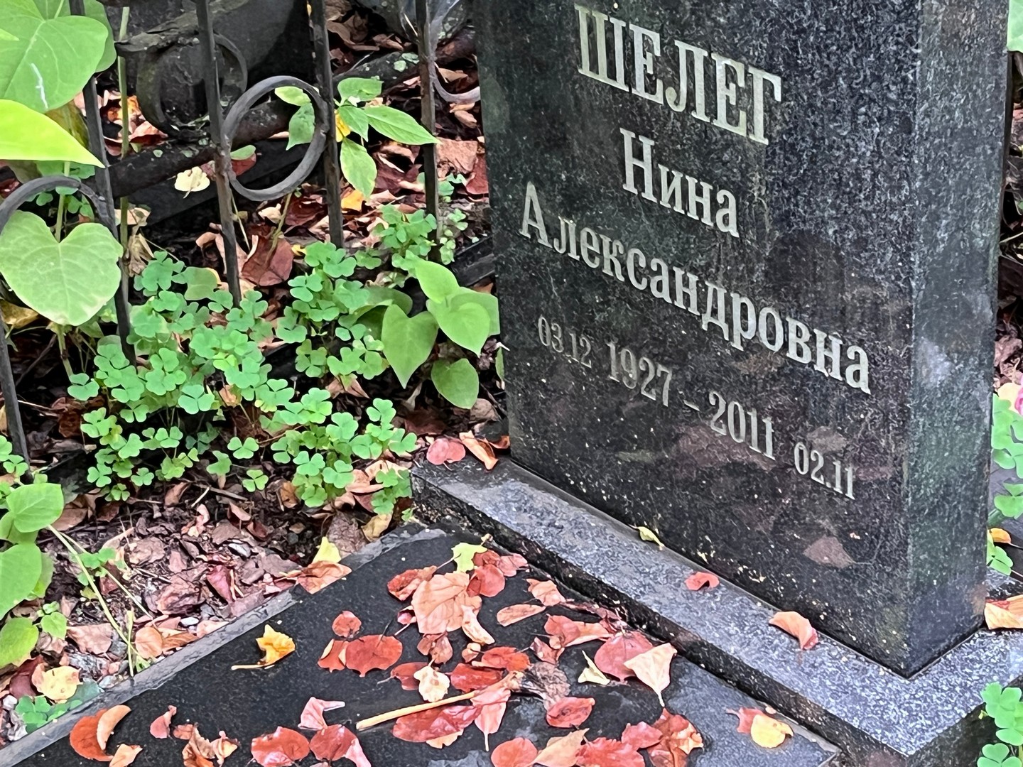 Шелег