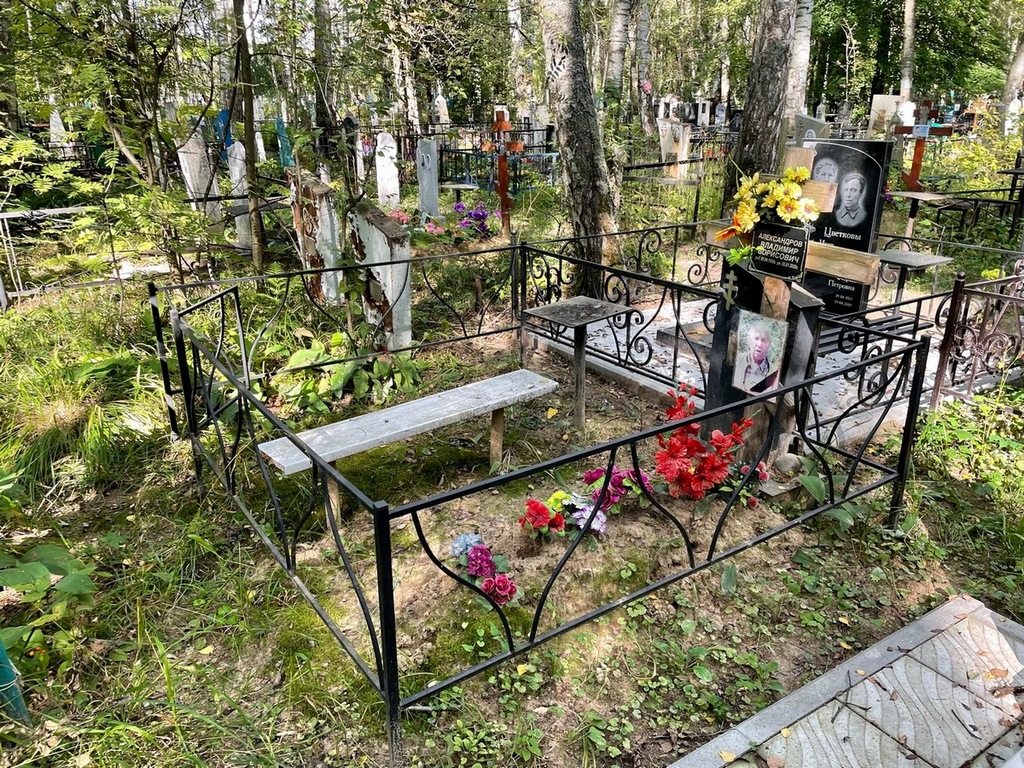 Александров Владимир Борисович