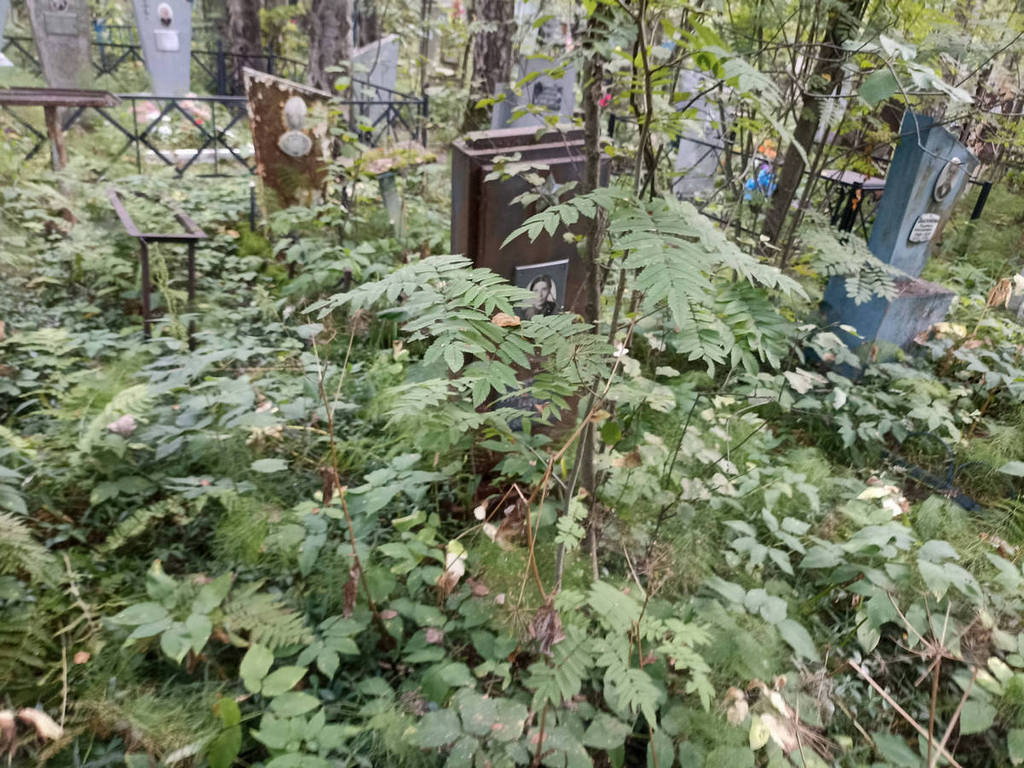Мовсесян Гаянэ Карапетовна