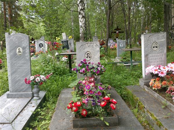 Синицин Иван Емельянович