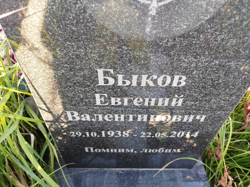 Быков
