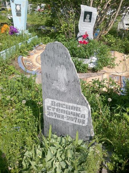 Васнёв Стёпочка