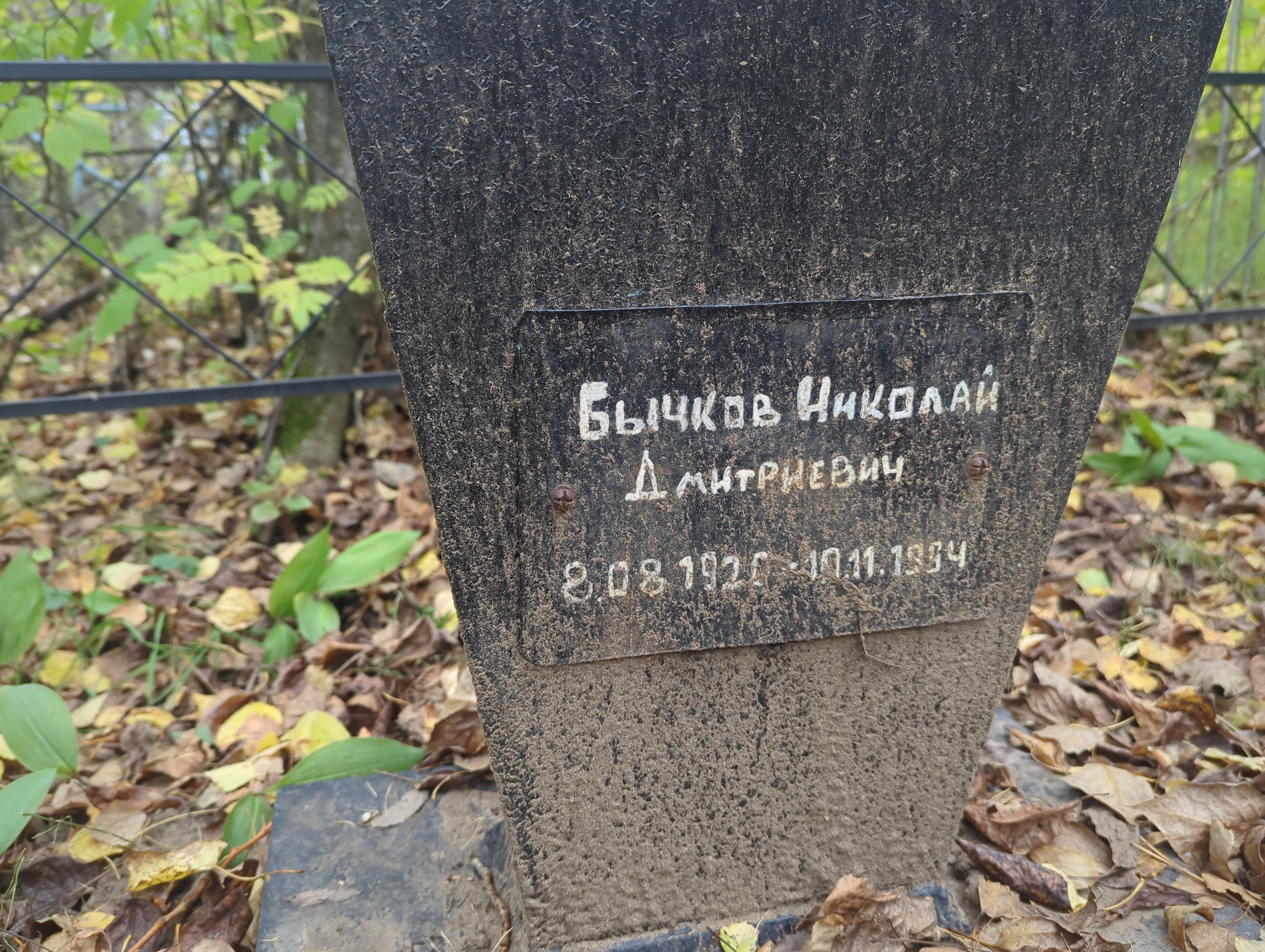 Бычков Николай Дмитриевич
