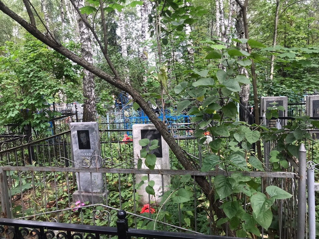 Викулов Николай Михайлович