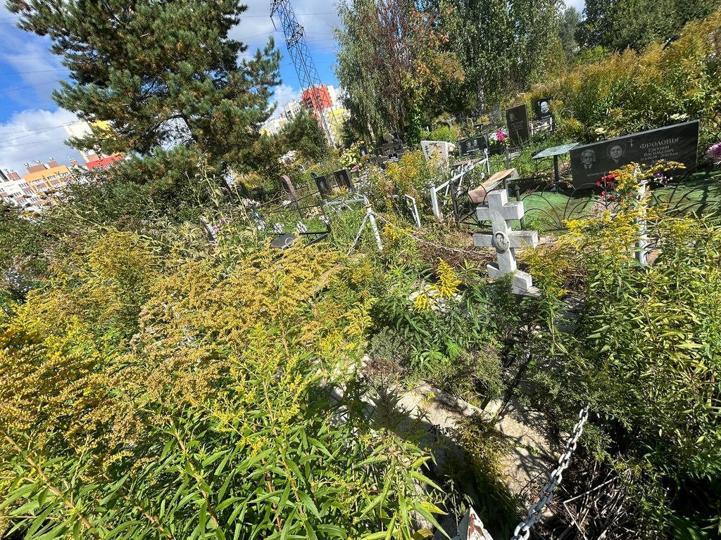 Курбатова Ксения Ермолаевна