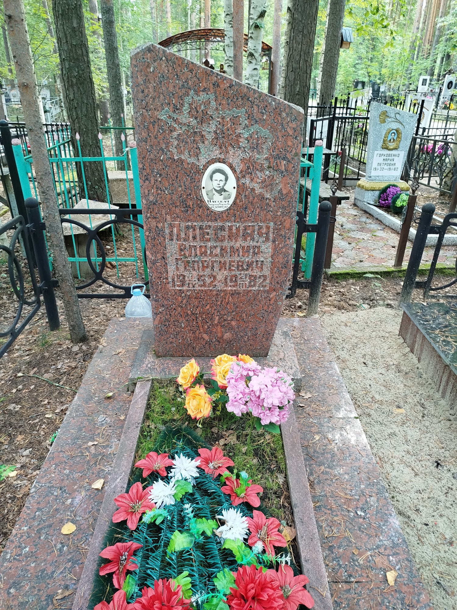 Плескач Владимир Георгиевич