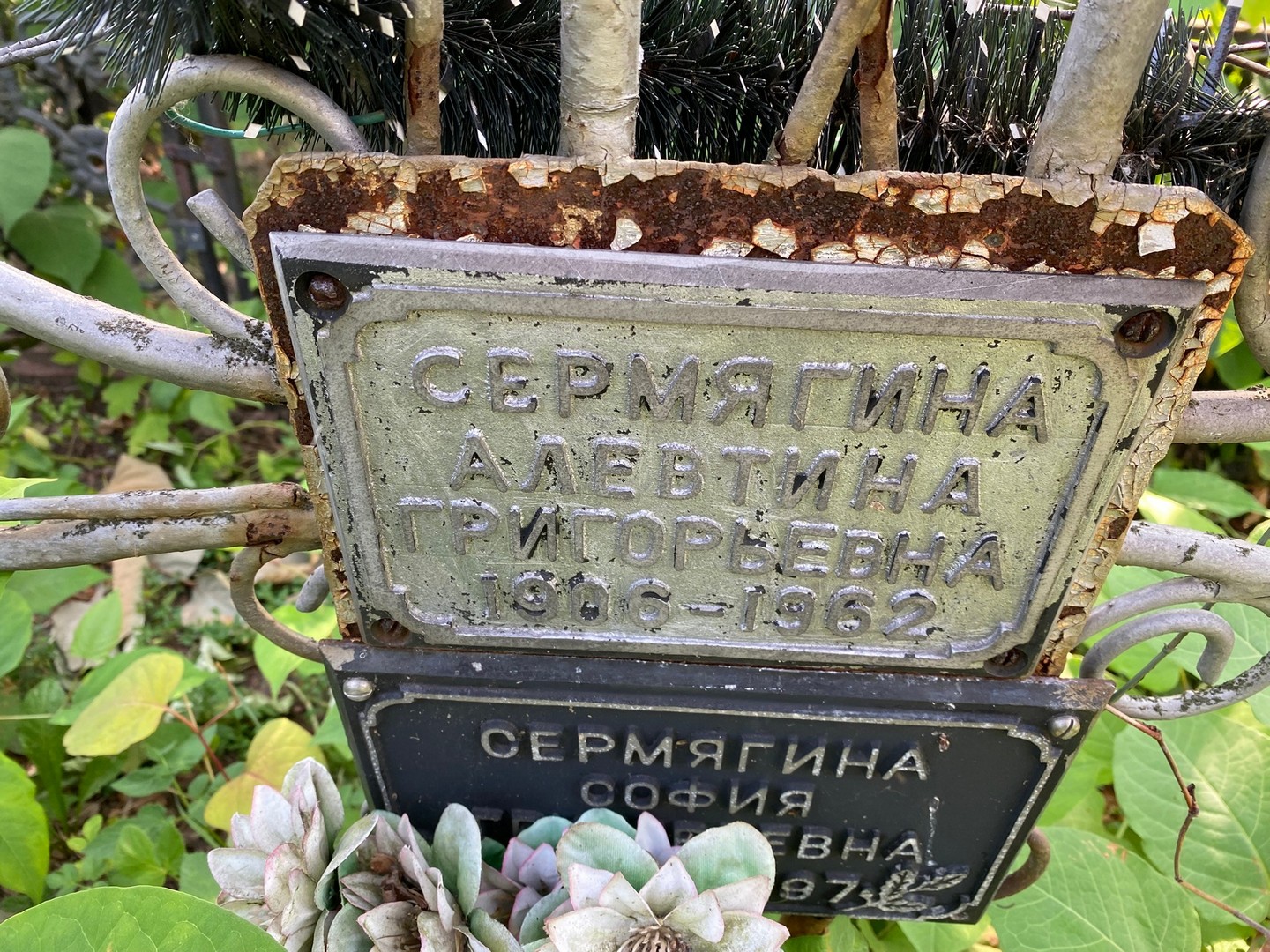 Алевтина Сермягина Григорьевна