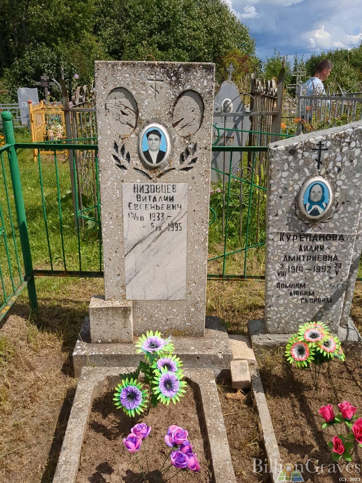 Низовцев Виталий Евгеньевич
