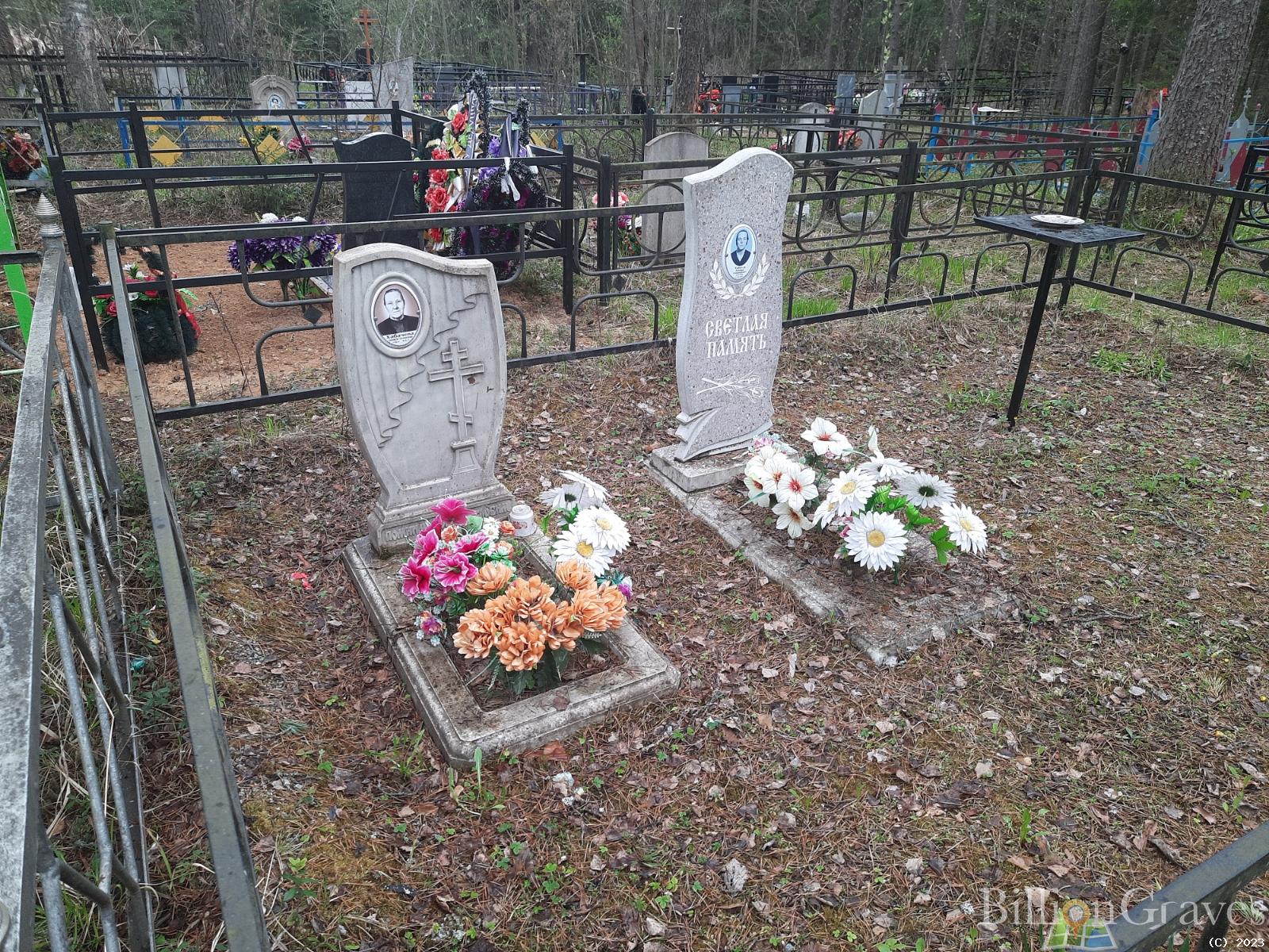 Хабачева Анастасия Александровна