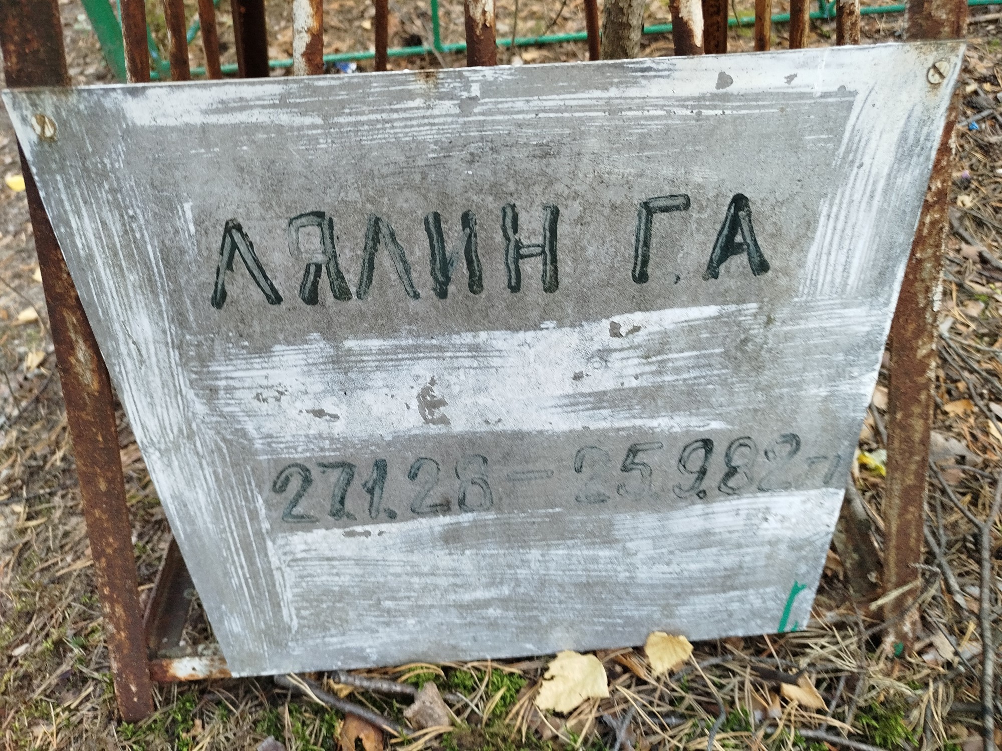 Лялин Г А