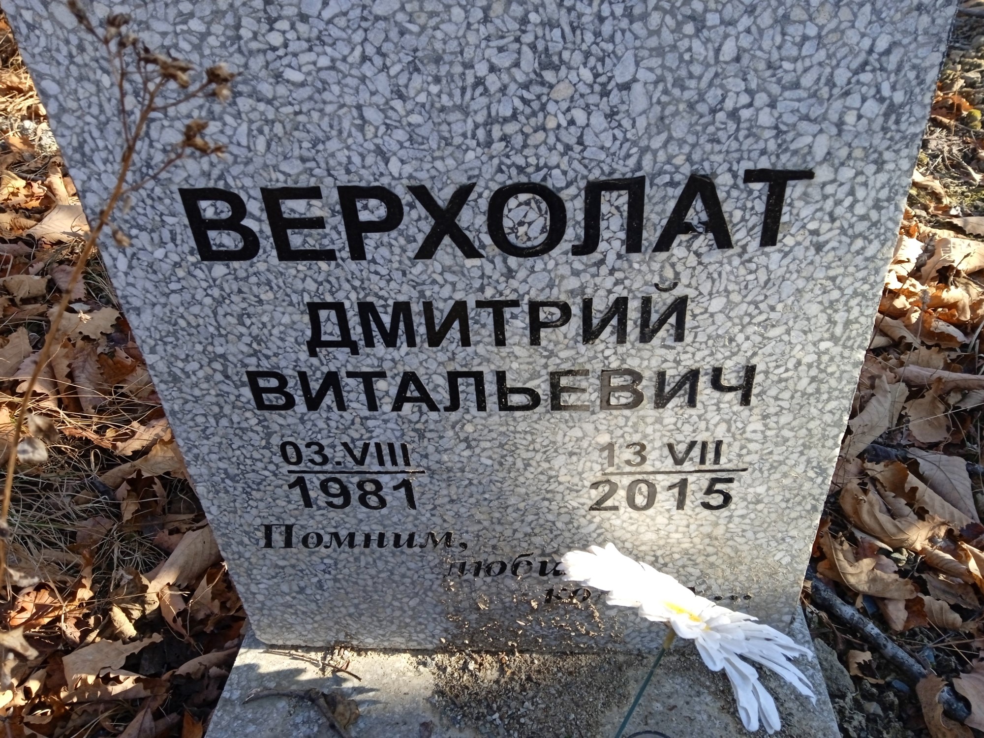 Верхолат Дмитрий Витальевич