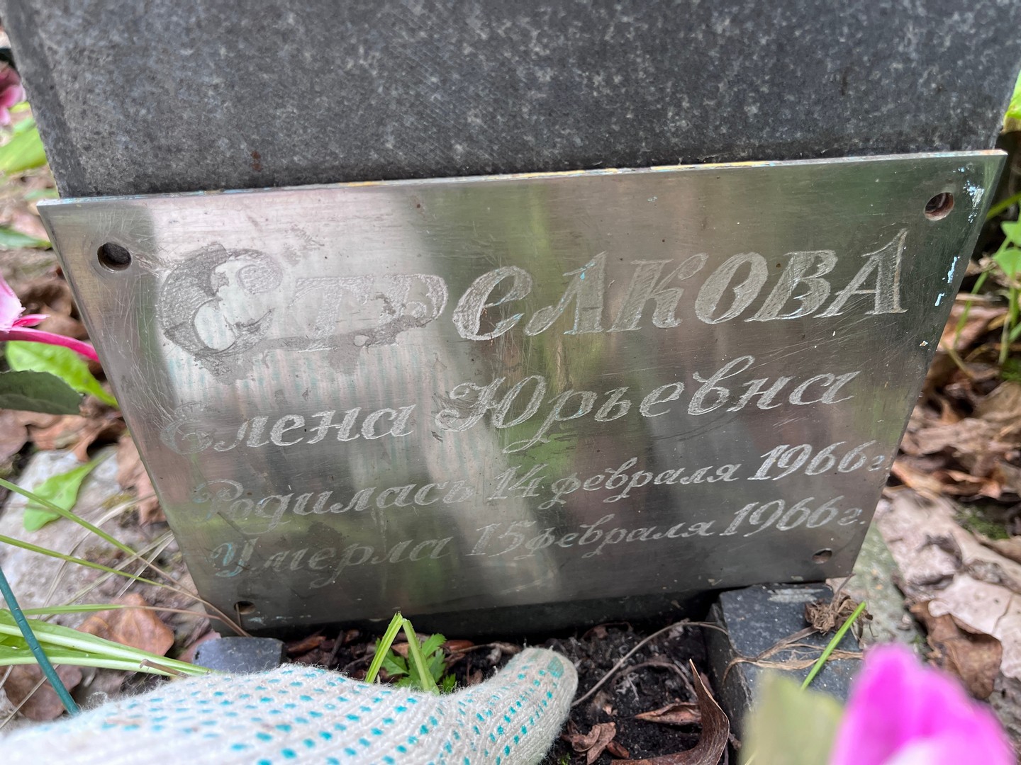 Стрелкова