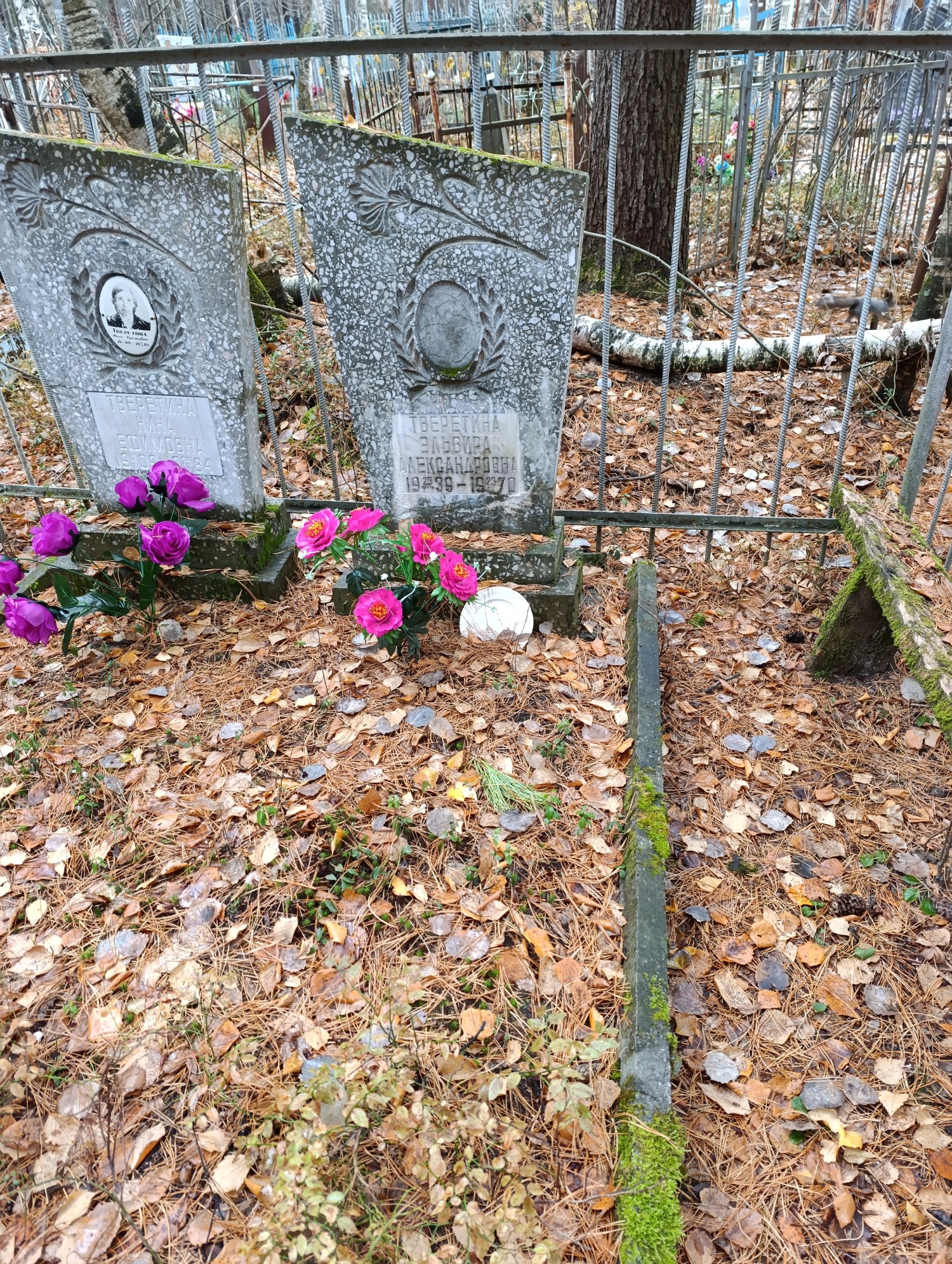 Тверетина Эльвира Александровна