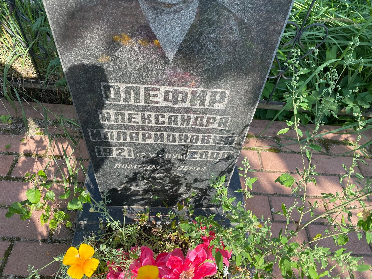 Александра Олефир Илларионовна